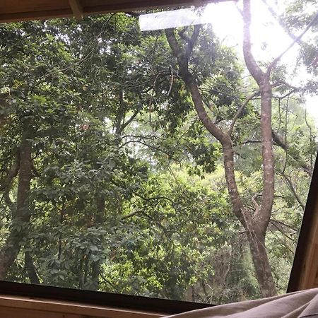 Cabanas Bosques De Loncotraro Villarrica Ngoại thất bức ảnh