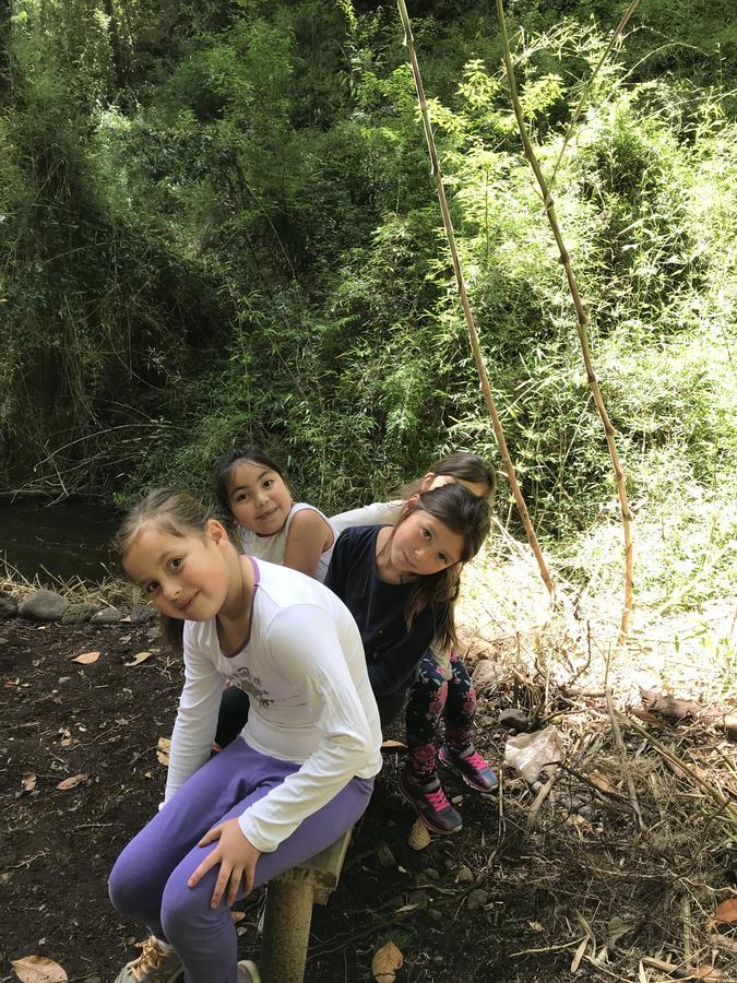 Cabanas Bosques De Loncotraro Villarrica Ngoại thất bức ảnh