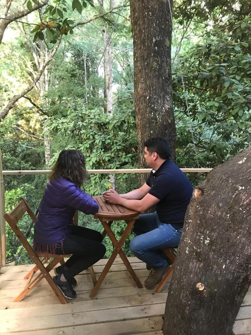 Cabanas Bosques De Loncotraro Villarrica Ngoại thất bức ảnh