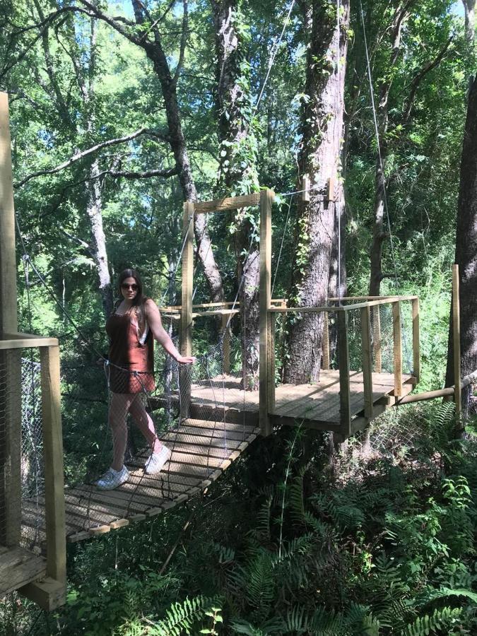 Cabanas Bosques De Loncotraro Villarrica Ngoại thất bức ảnh