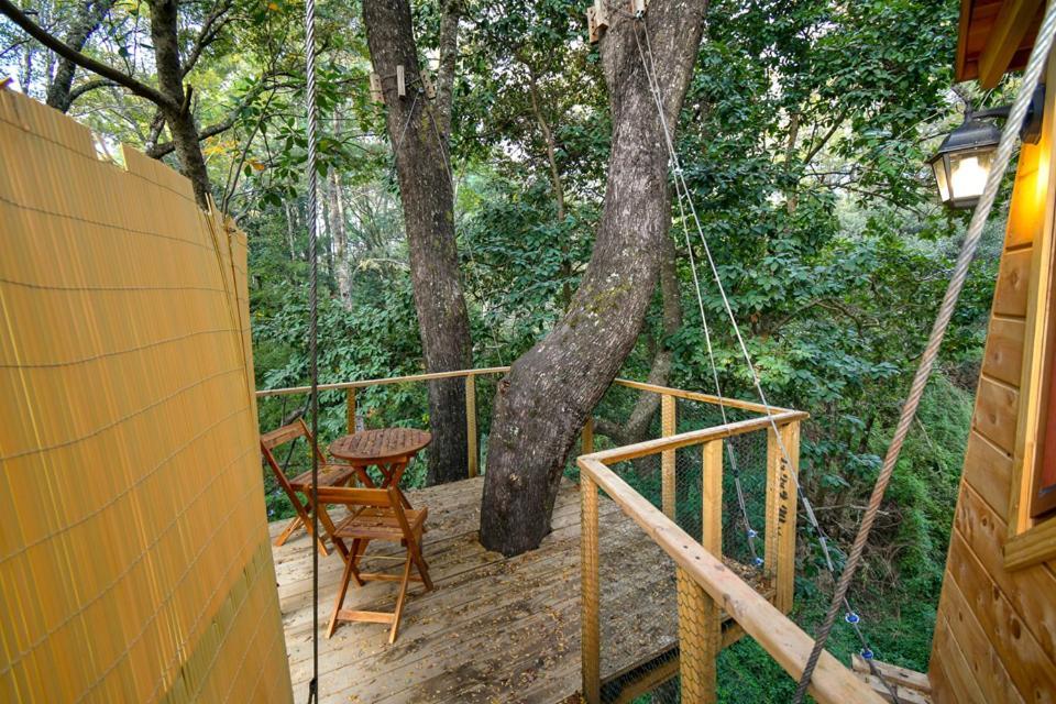 Cabanas Bosques De Loncotraro Villarrica Ngoại thất bức ảnh