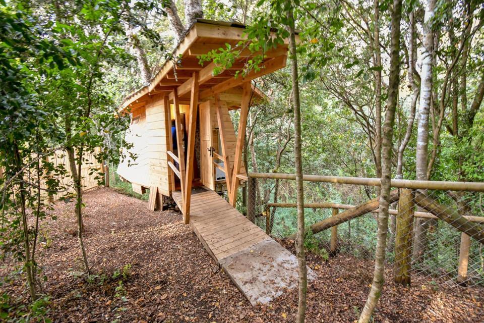 Cabanas Bosques De Loncotraro Villarrica Ngoại thất bức ảnh