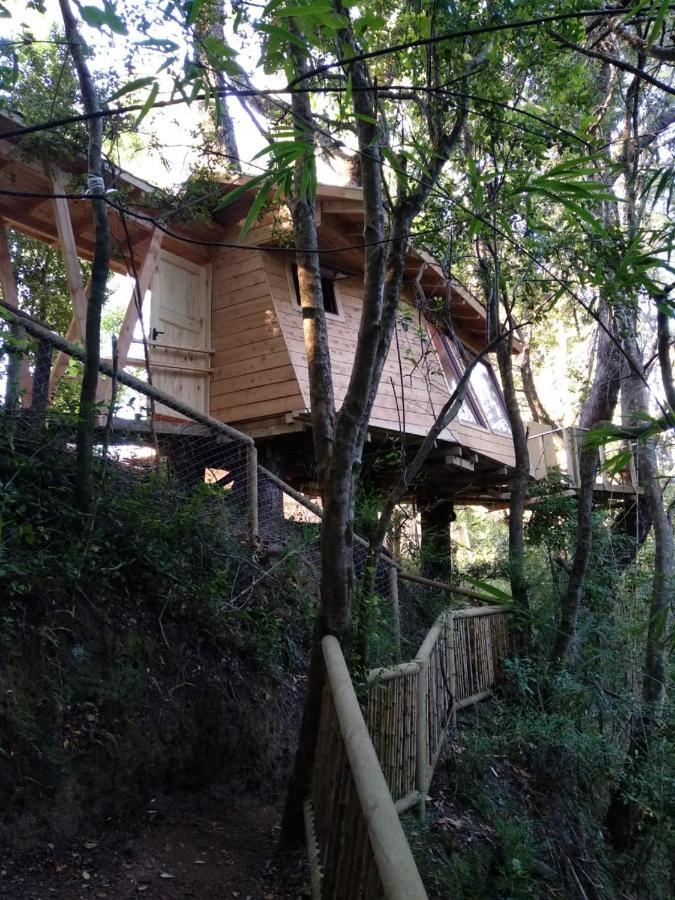Cabanas Bosques De Loncotraro Villarrica Ngoại thất bức ảnh